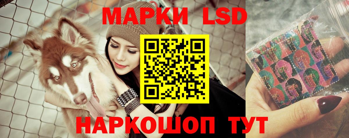 Лсд 25 экстази кислота  Вход с VPN  Карачаевск 