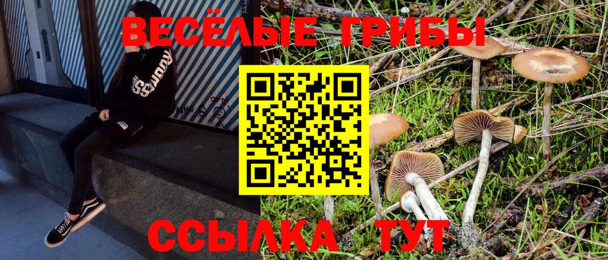 Галлюциногенные грибы мицелий Карачаевск