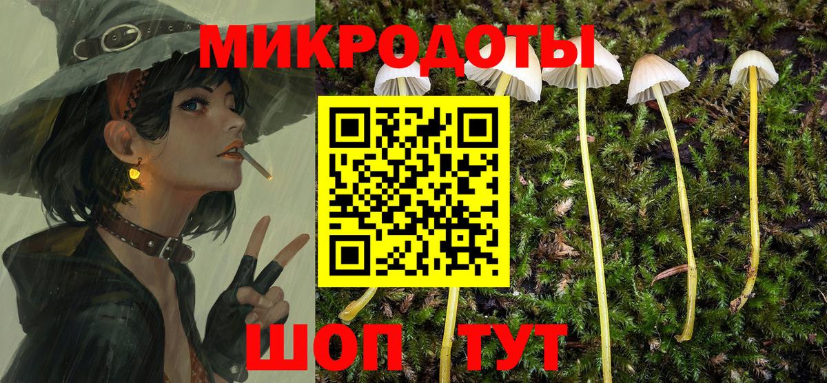 Карачаевск  Псилоцибиновые грибы мицелий  Вход с VPN  Псилоцибиновые грибы Psilocybe 